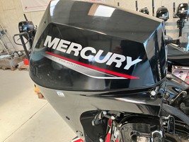 Mercury 15 Hk